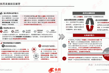 头豹研究院发布《2024年中国小分子抗肿瘤靶向药物白皮书》